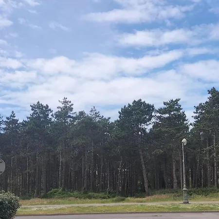 Lovely T2 With Garden By The Sea